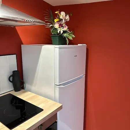 Apartamento Loft O'chalet - 10 Min Gare - Parking Prive